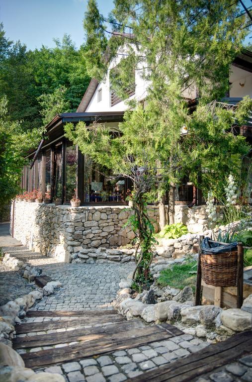 Pensiune-Restaurant Tara Luanei Sărata-Monteoru Exterior foto